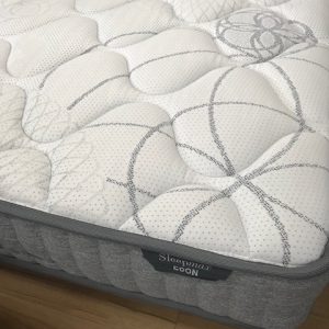QUEEN MATTRESS [ESP]